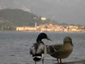 Aussicht auf Bellagio